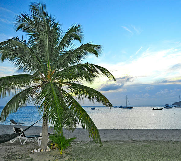 Safehouse Nevis