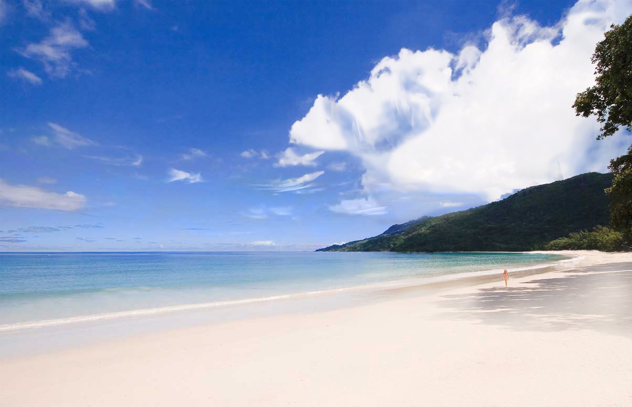 Safehouse Nevis
