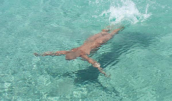 Safehouse Seychelles