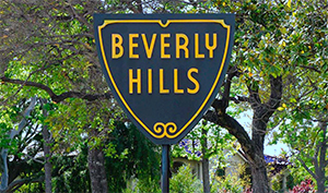 Dignitary Discretion Beverly Hills